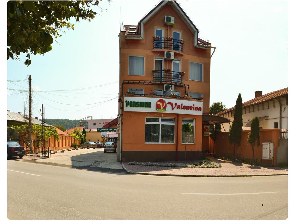 Pensiune Valentina Hotell Râmnicu Vâlcea Exteriör bild
